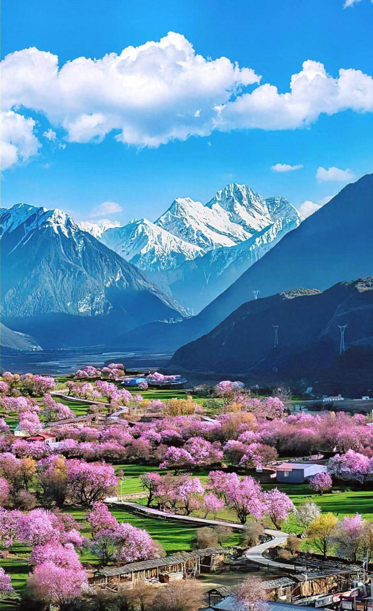 旅游中国_旅游中国杂志 旅游中国_旅游中国杂志