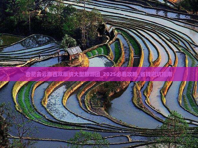 合肥到云南旅游_合肥到云南旅游团报价 合肥到云南旅游_合肥到云南旅游团报价