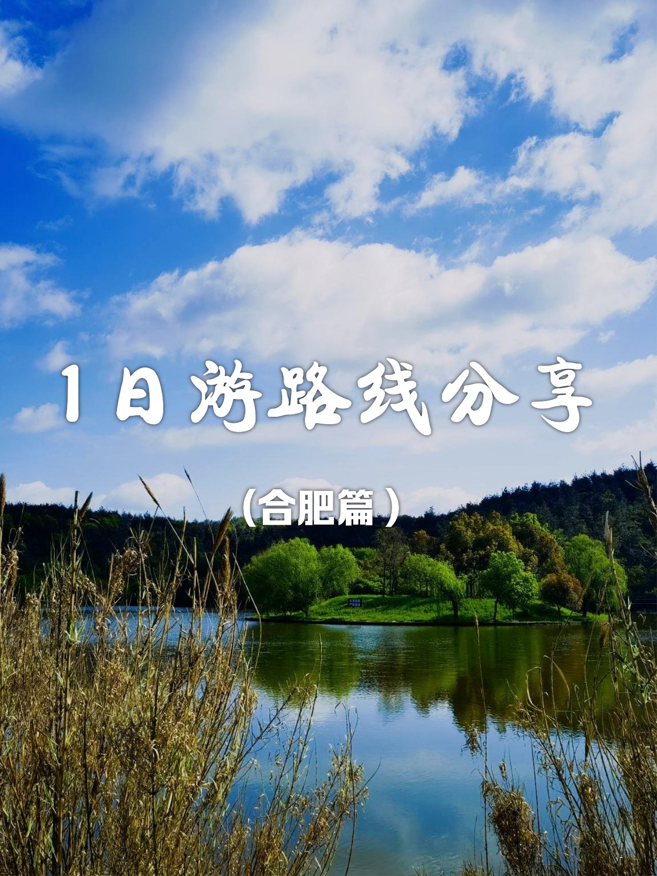 合肥到云南旅游_合肥到云南旅游团报价 合肥到云南旅游_合肥到云南旅游团报价