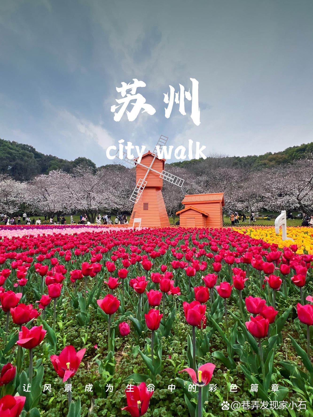 苏州的旅游景点_苏州的旅游景点有哪些