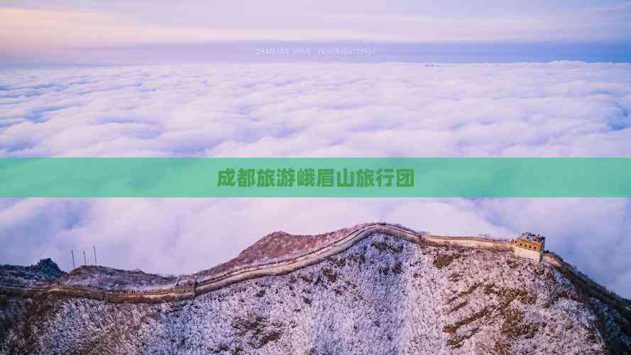 成都的旅游团_成都旅游团报名一日游