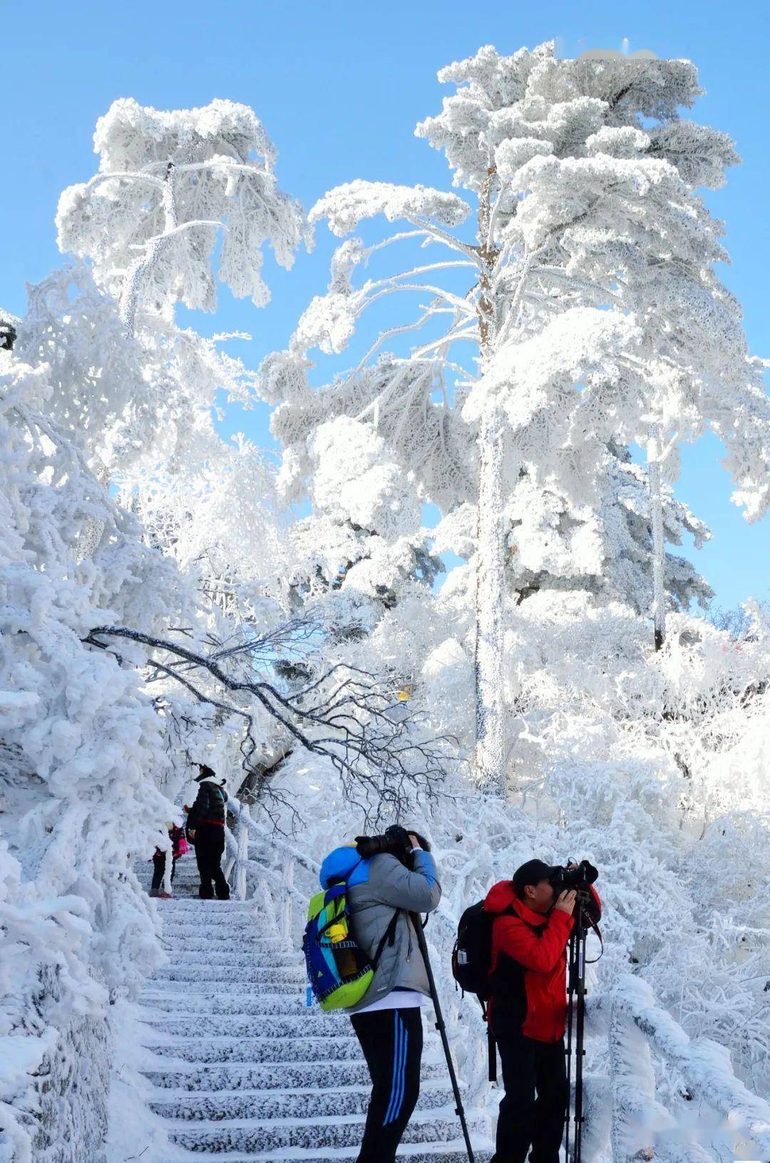 冬季旅游_冬季旅游必去十大景点