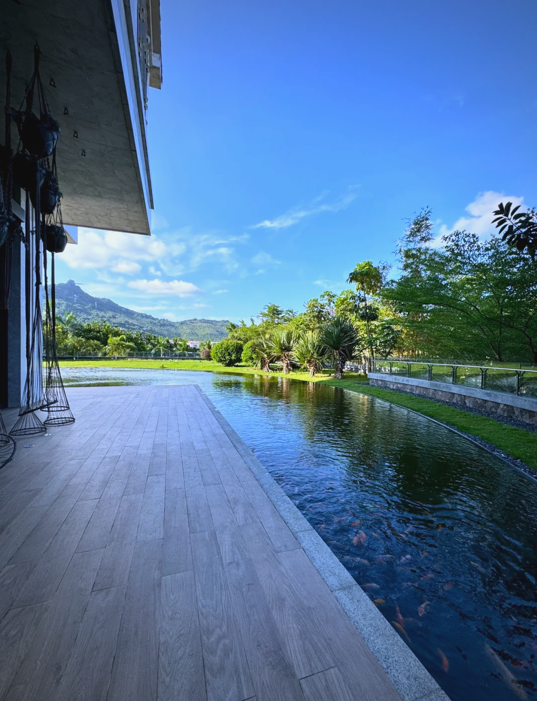 春节海南旅游_春节海南旅游团报名六日游