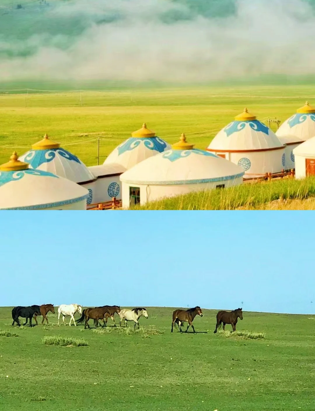 呼和浩特旅游_呼和浩特旅游必去景点推荐