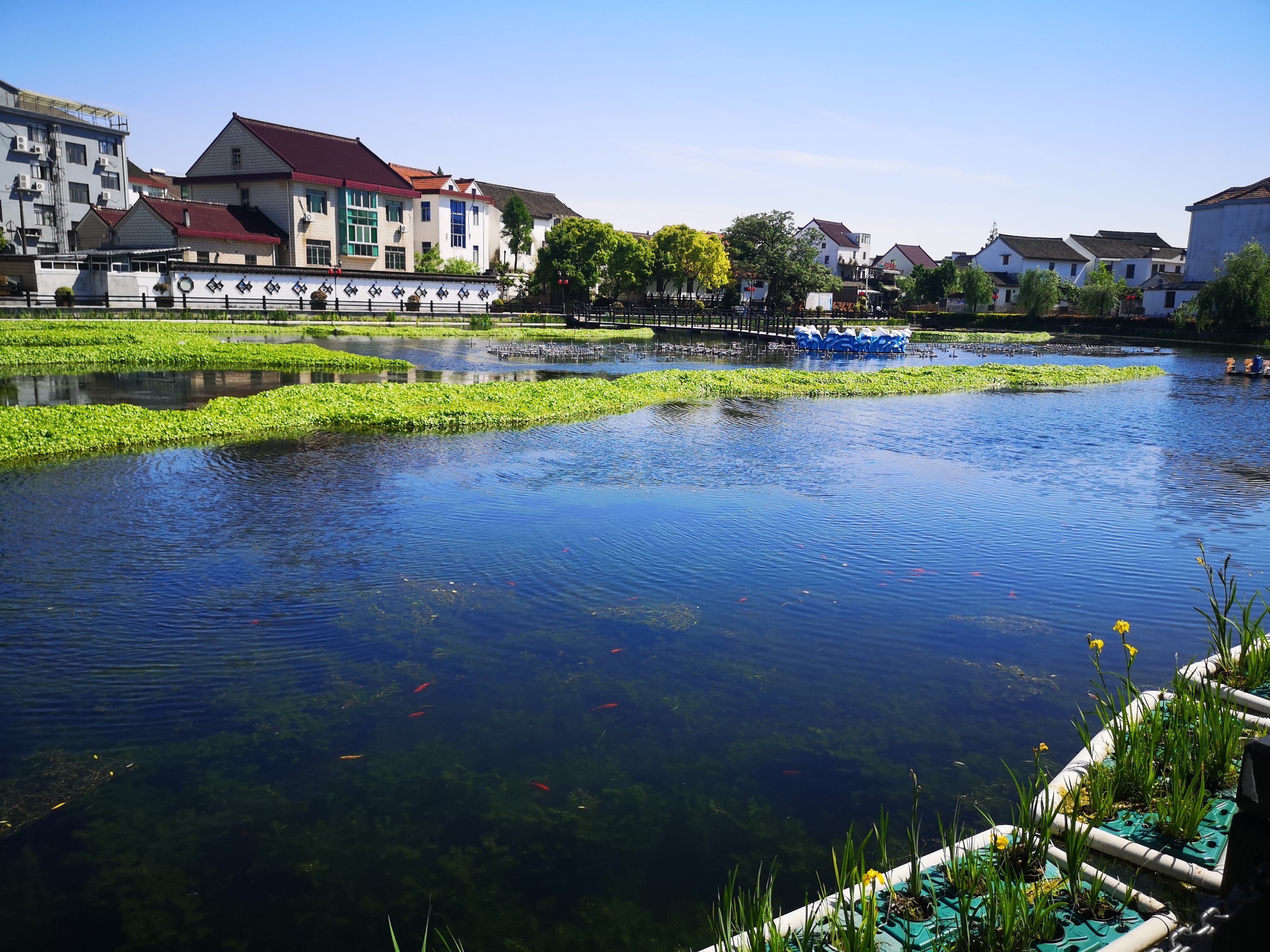 春秋旅游网_春秋旅游网服务质量数据