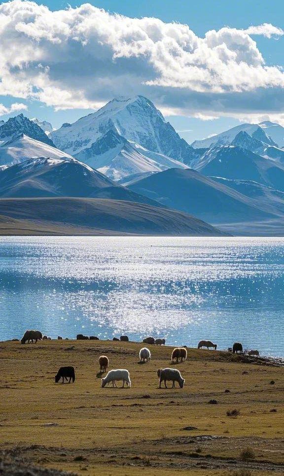 林芝旅游景点_林芝旅游景点线路图