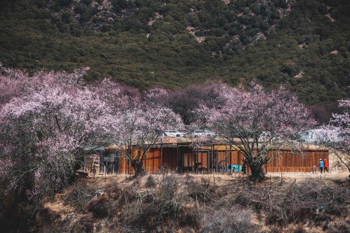 林芝旅游景点_林芝旅游景点线路图
