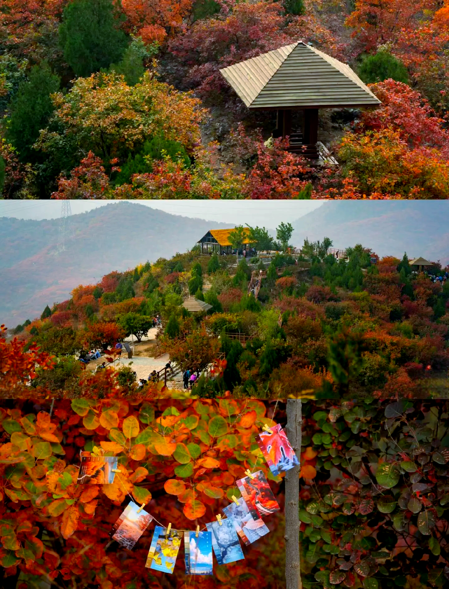 顺义旅游景点_顺义旅游景点自驾游 顺义旅游景点_顺义旅游景点自驾游