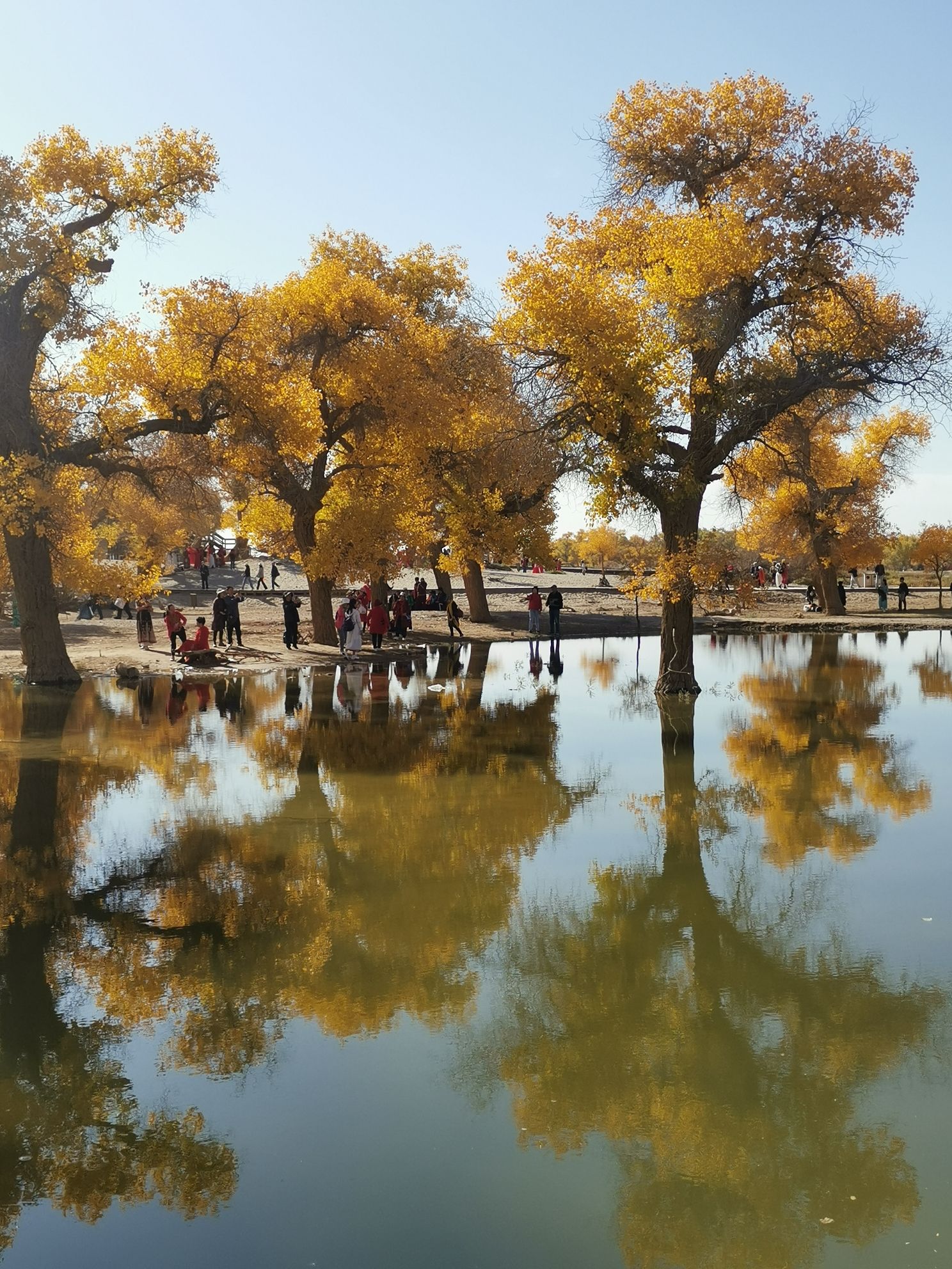 阿拉善旅游景点大全_阿拉善旅游景点大全图片 阿拉善旅游景点大全_阿拉善旅游景点大全图片