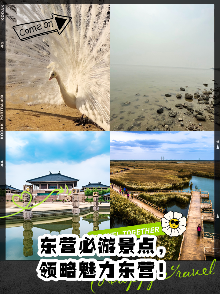 东营旅游景点大全_东营旅游景点大全排名榜前十