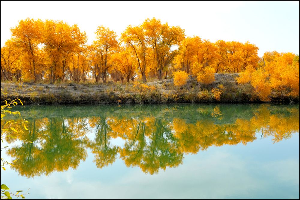 阿拉尔旅游_阿拉尔旅游安全注意事项