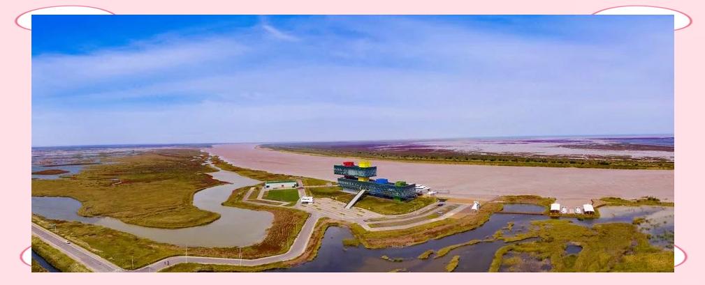 垦利旅游_垦利旅游攻略 百度推荐