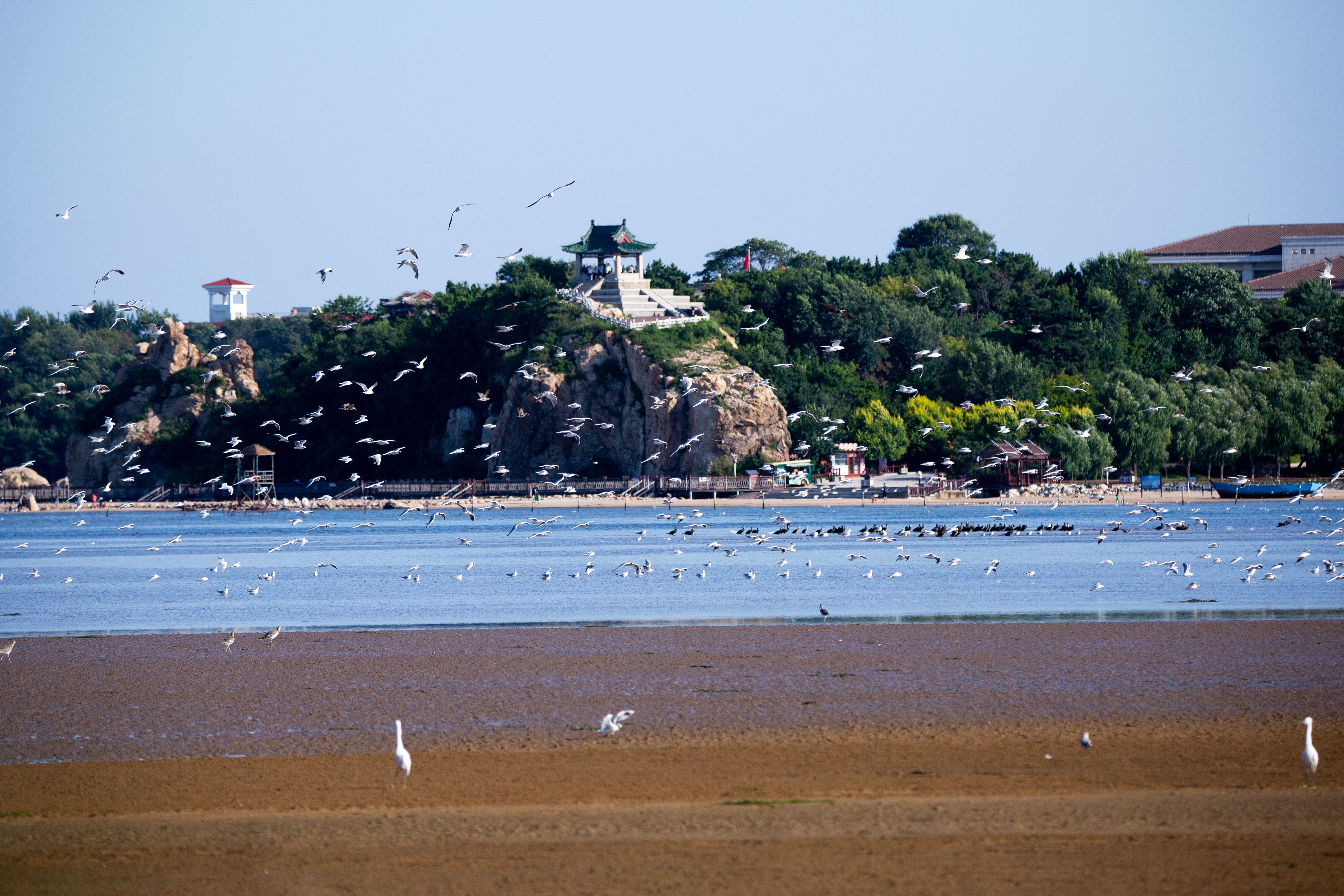北戴河旅游景点_北戴河旅游景点阿那亚