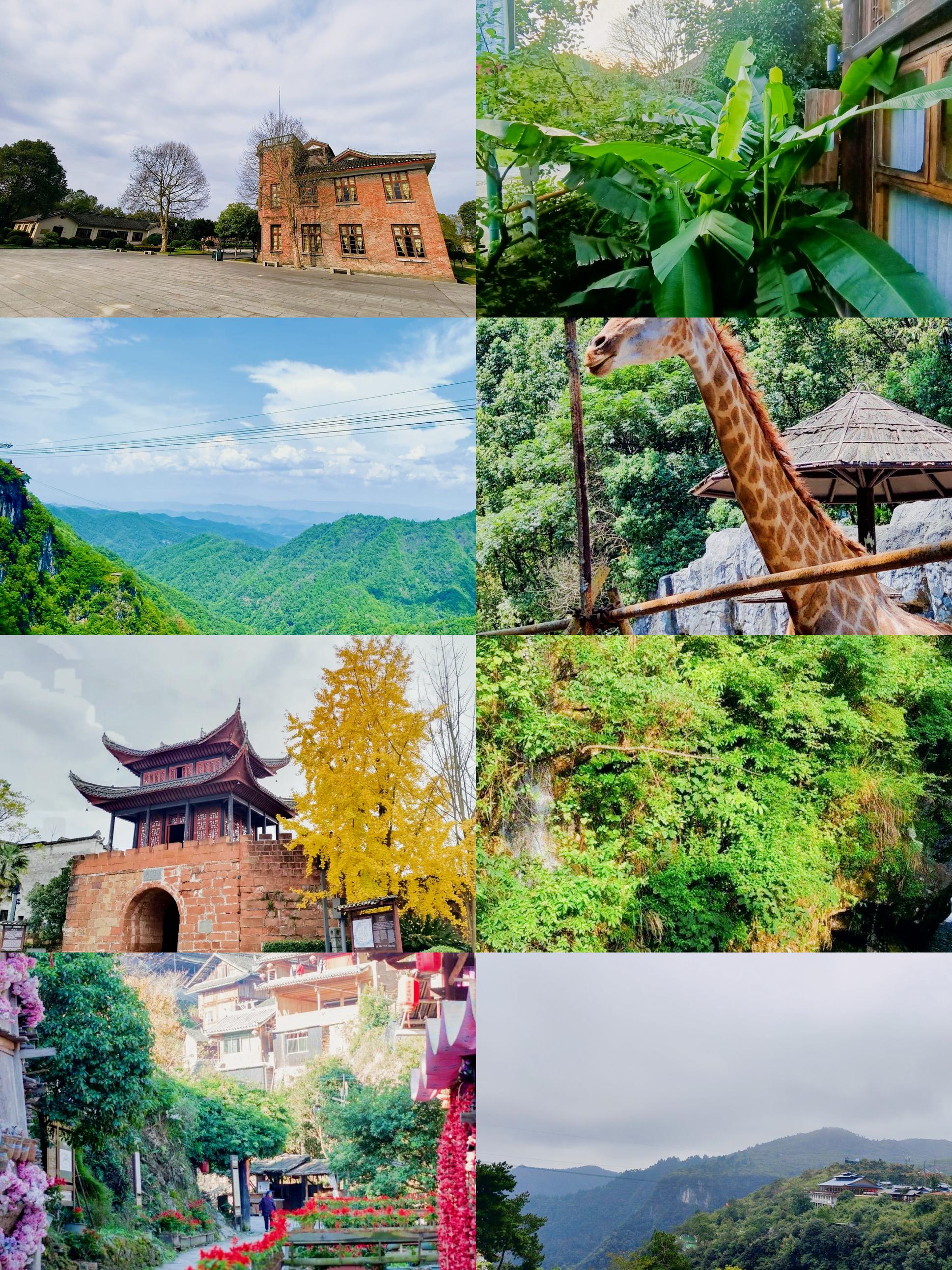 怀化旅游网_怀化旅游网站