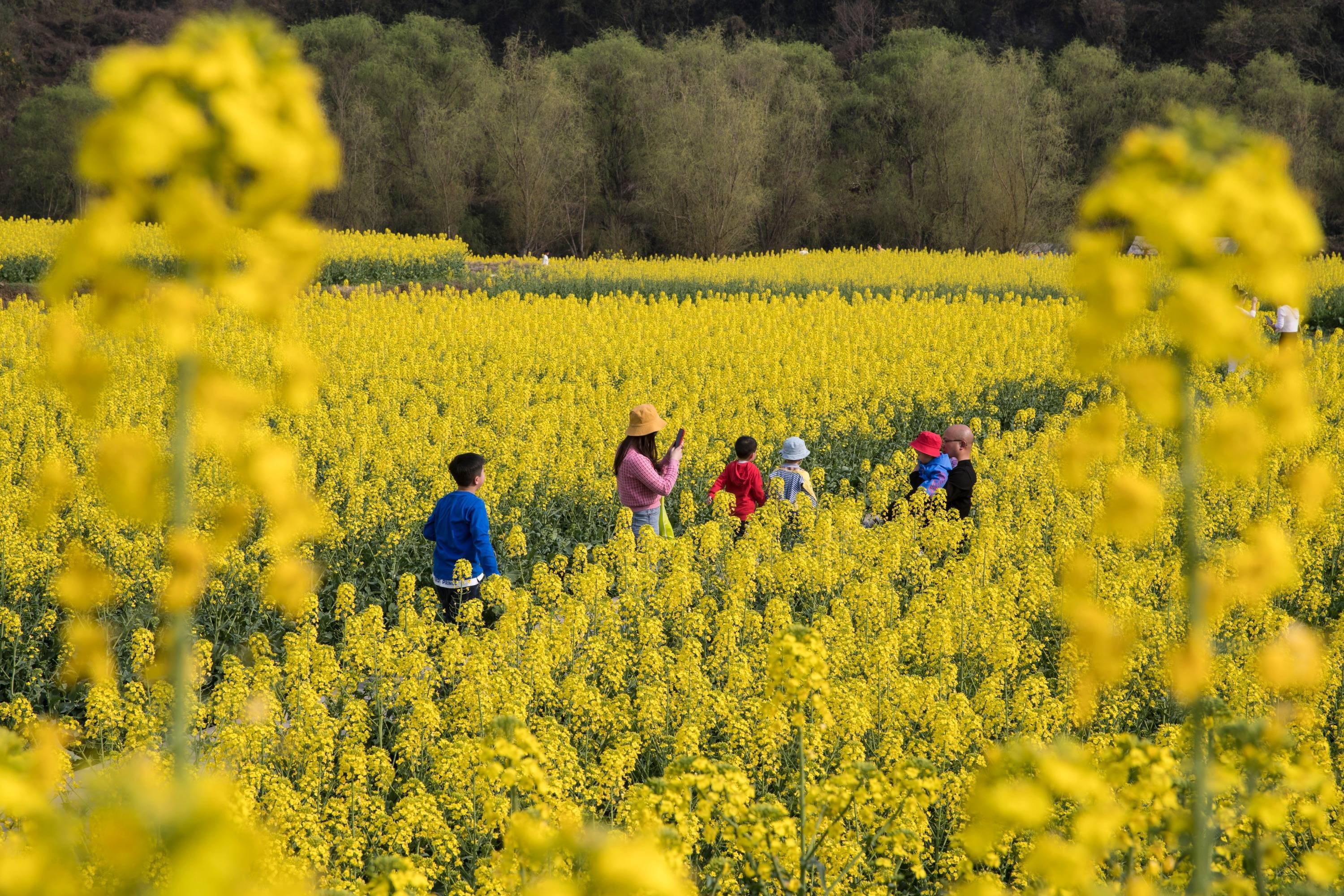 农村旅游_乡村旅游发朋友圈的精美句子 农村旅游_乡村旅游发朋友圈的精美句子