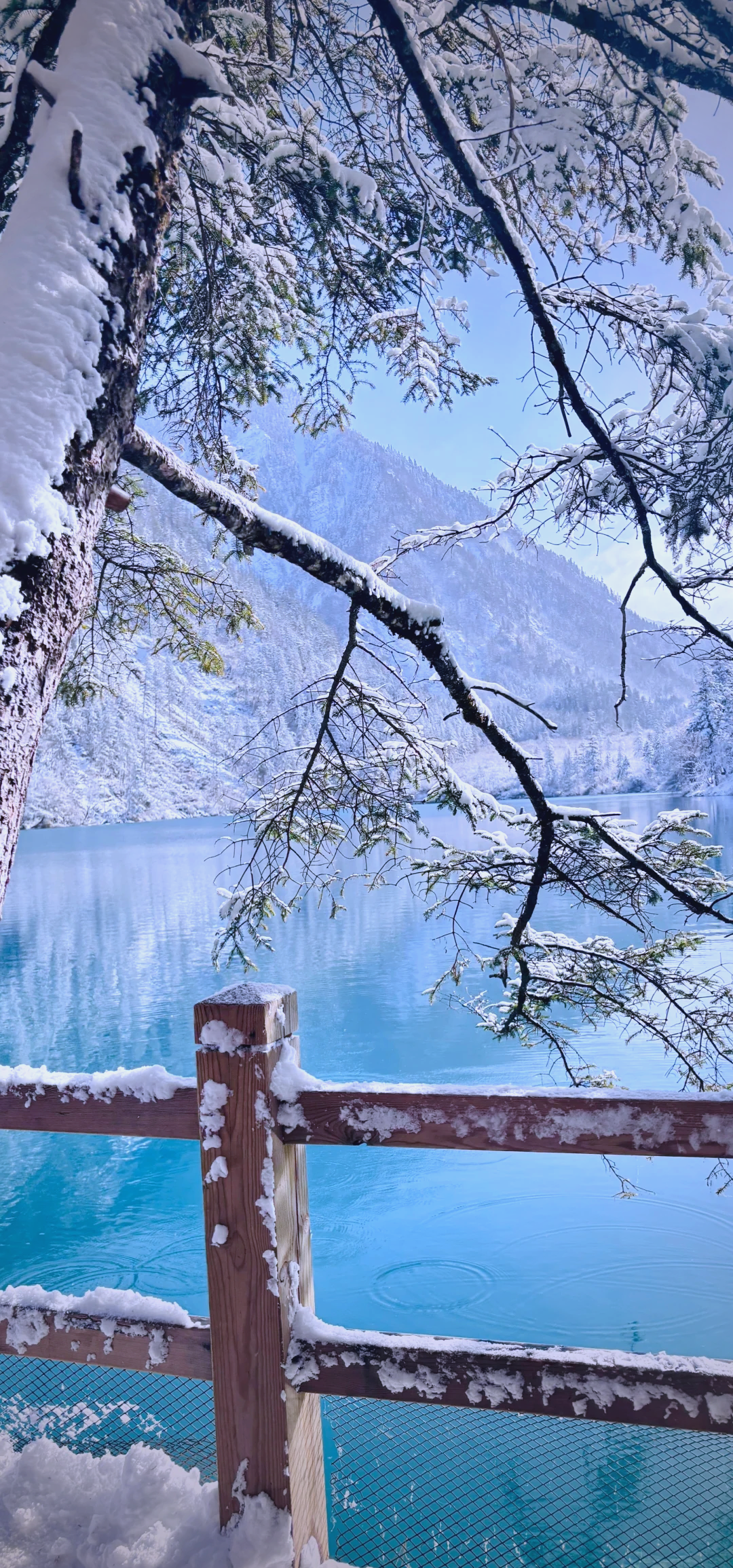 冬天九寨沟旅游攻略_冬季九寨沟风景区景色