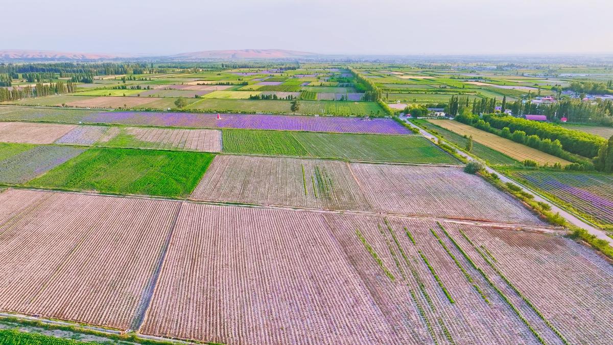 陕西杨凌旅游景点_陕西杨凌旅游景点大全 陕西杨凌旅游景点_陕西杨凌旅游景点大全