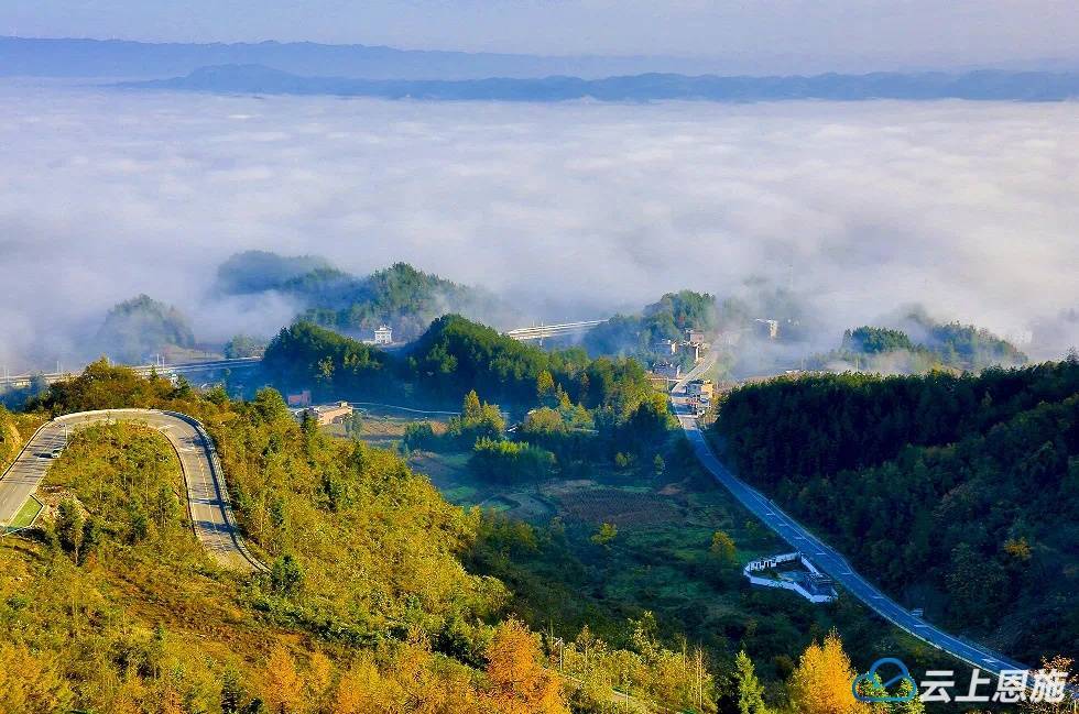 利川旅游_利川旅游景点排名前十 利川旅游_利川旅游景点排名前十