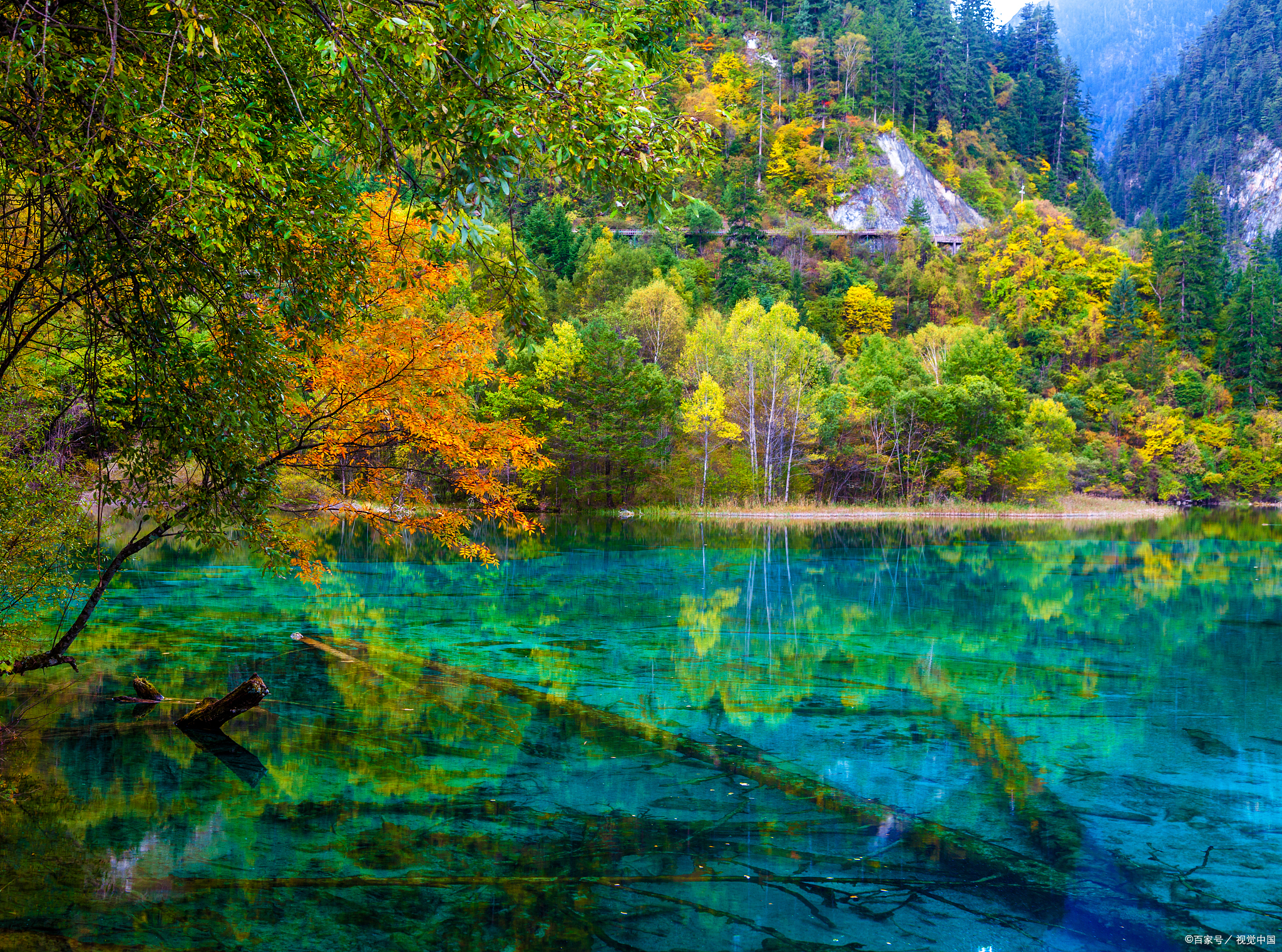 九寨沟旅游图片_九寨沟风景图片大全 最美