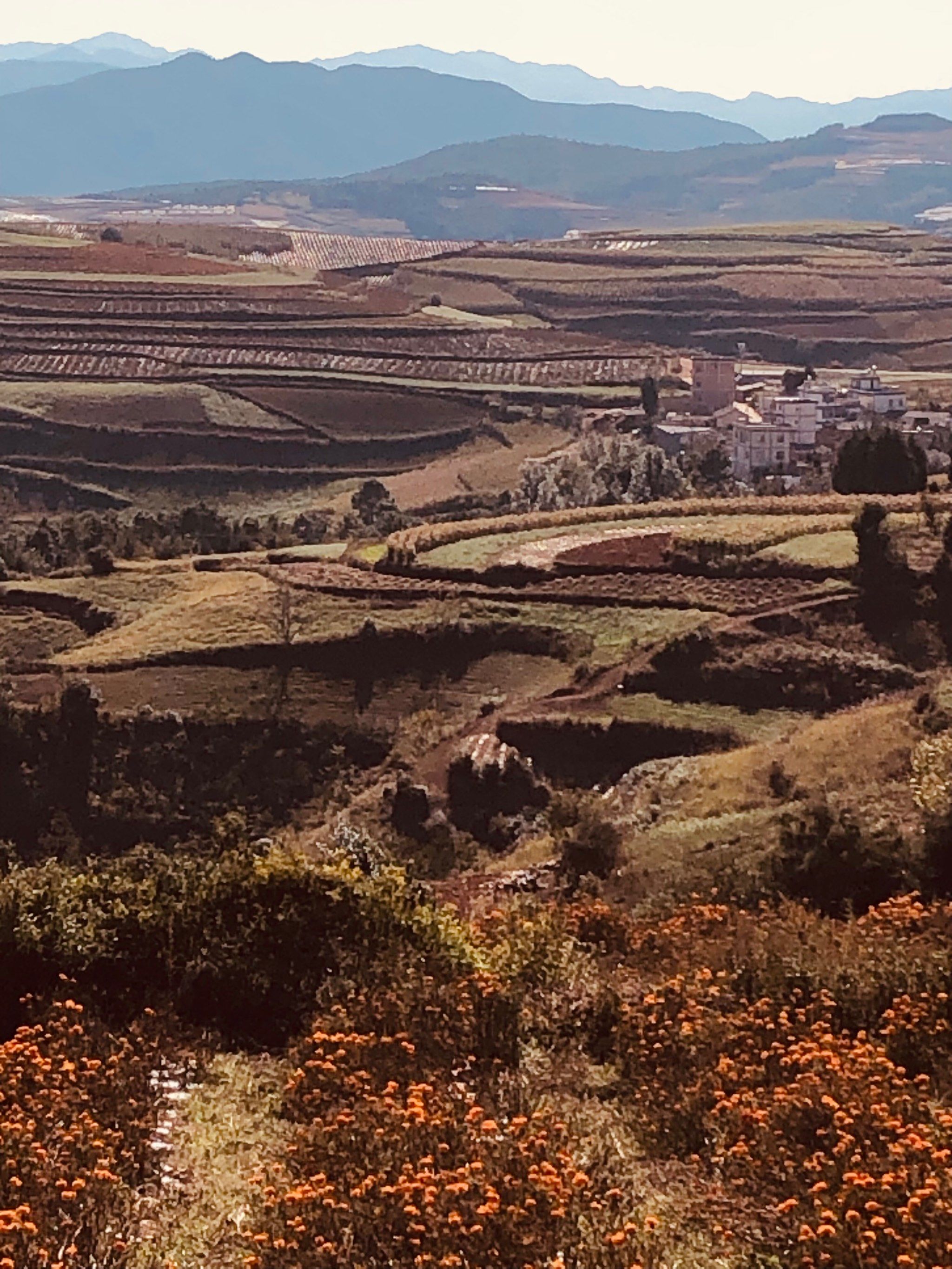 东川红土地旅游_东川红土地旅游数据分析包括哪些内容 东川红土地旅游_东川红土地旅游数据分析包括哪些内容