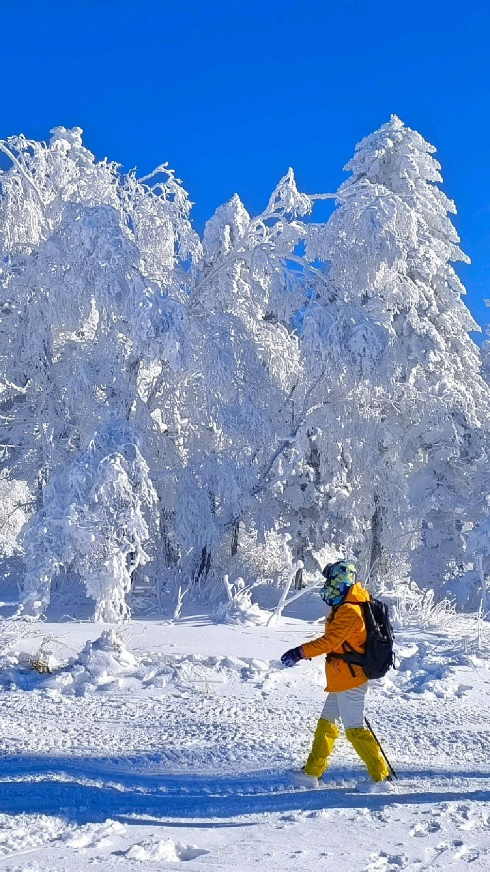 冬天旅游_冬天旅游去哪个城市好