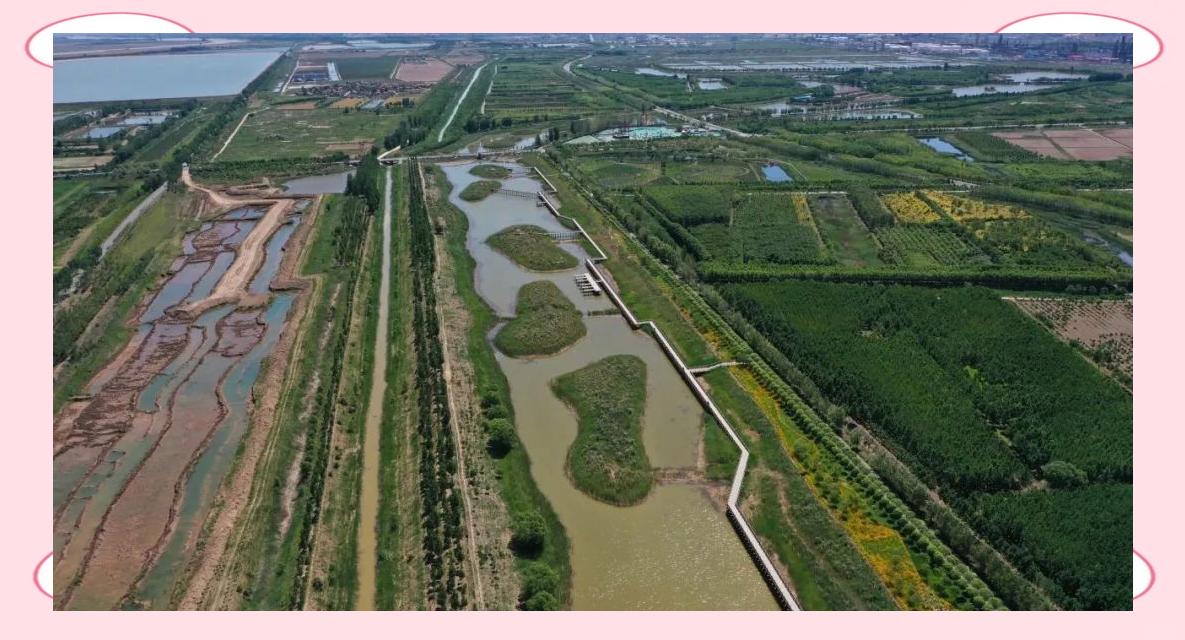 垦利旅游_垦利旅游团电话号码