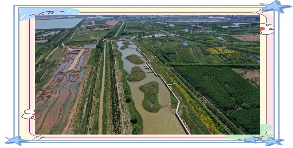 垦利旅游_垦利旅游团电话号码