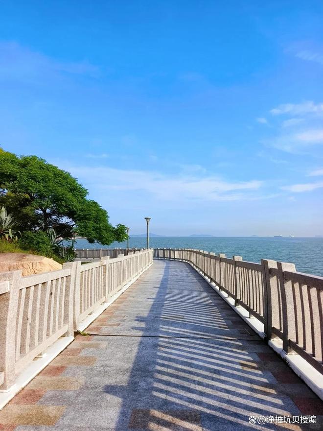 厦门旅游跟拍_厦门旅游跟拍视频