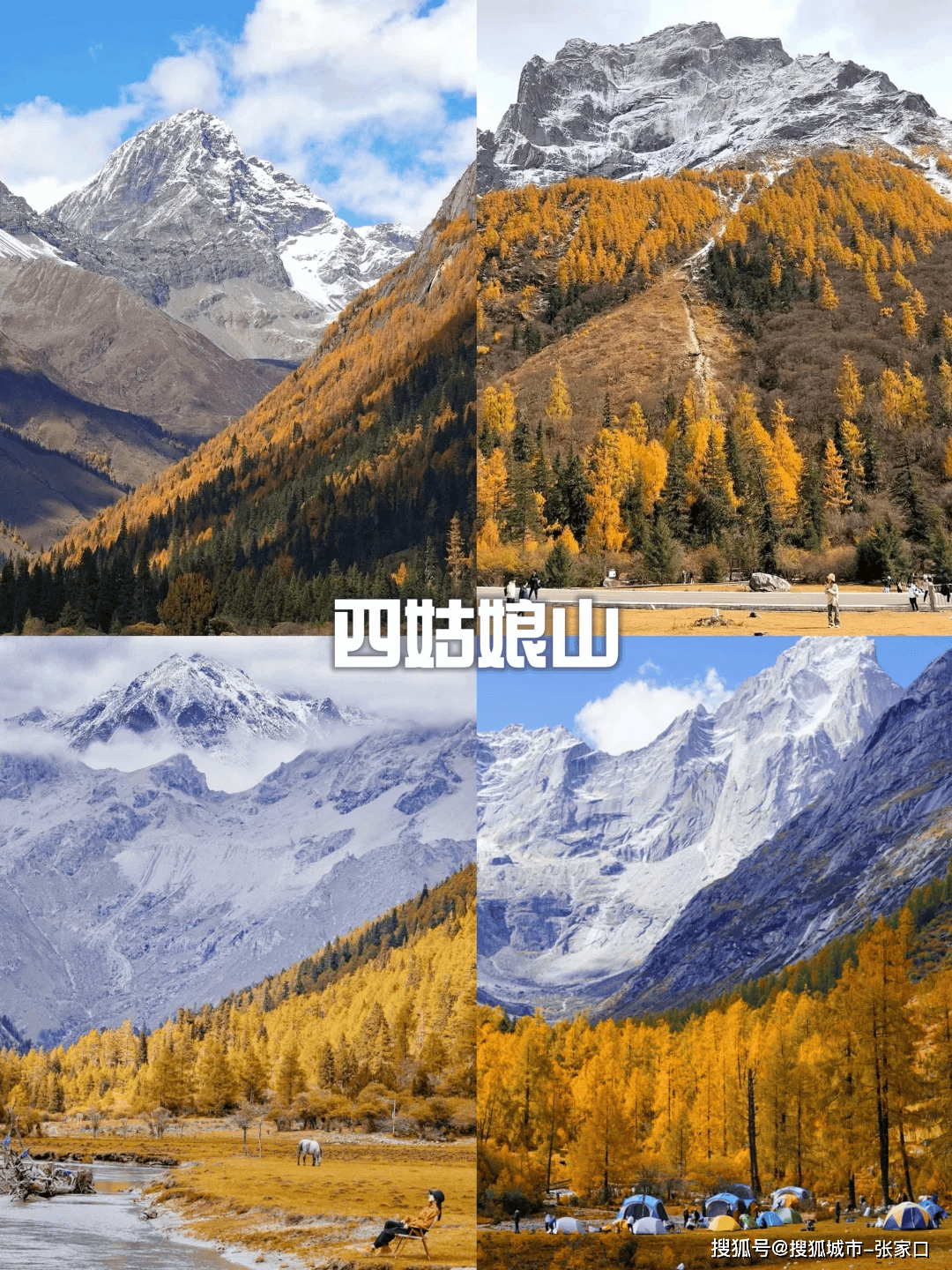 稻城亚丁旅游费用_稻城亚丁旅游团报价