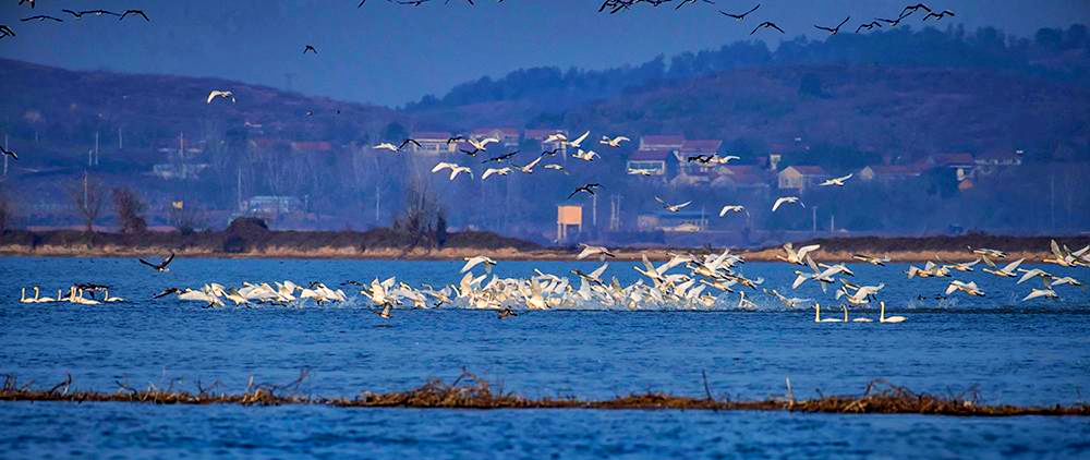 梁子湖旅游_梁子湖旅游景点介绍