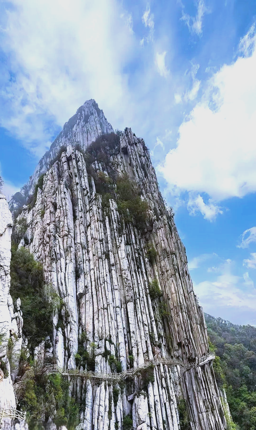 华山旅游_华山旅游集团