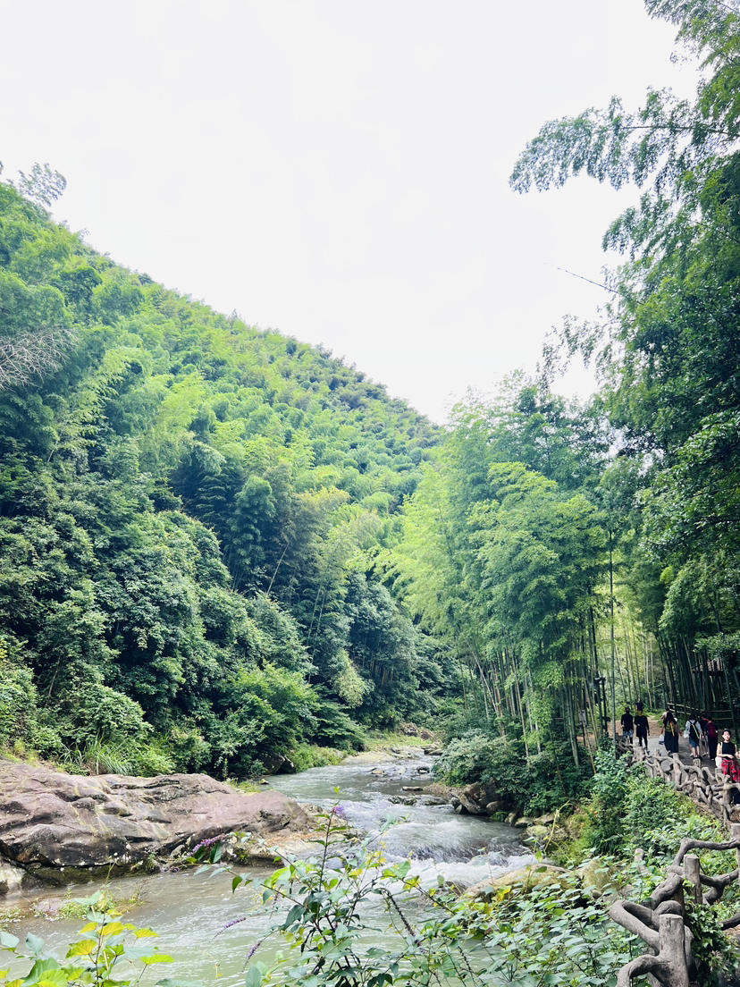 浙东旅游_浙东旅游客运厂班车