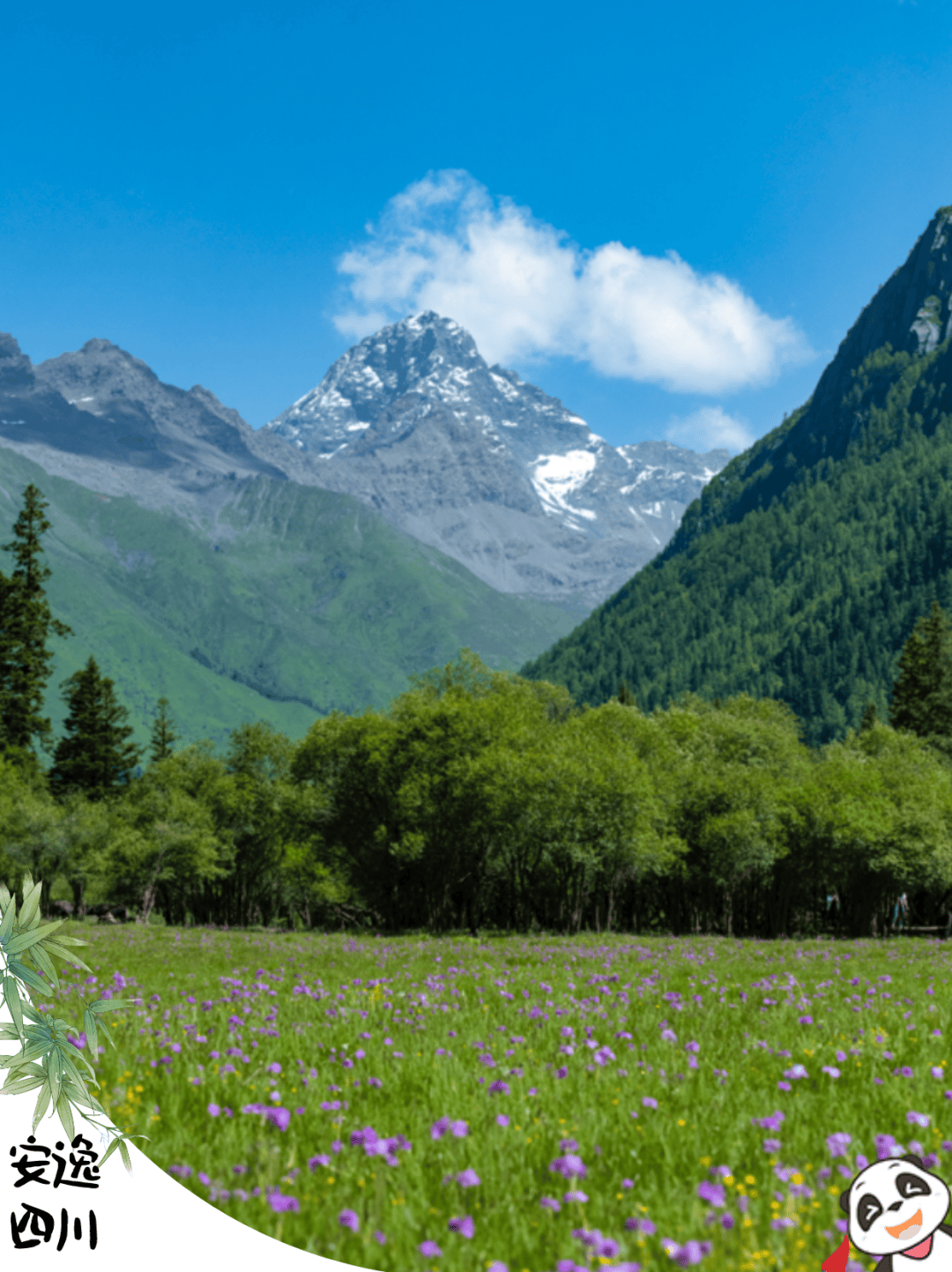 四姑娘山旅游_四姑娘山旅游最佳时间