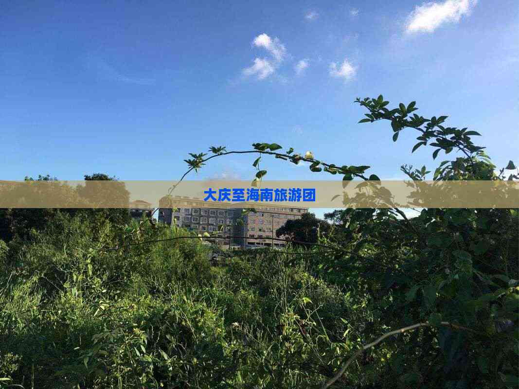 大庆旅游团_大庆旅游团报价查询