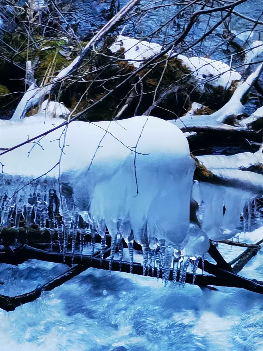冬天适合去哪里旅游_冬天适合去哪里旅游暖和的地方