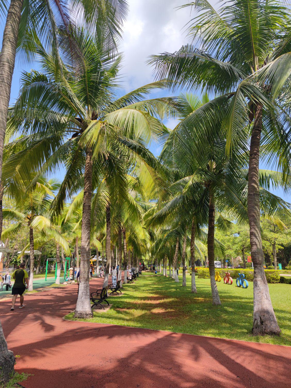 海口旅游_海口旅游职业学院 海口旅游_海口旅游职业学院