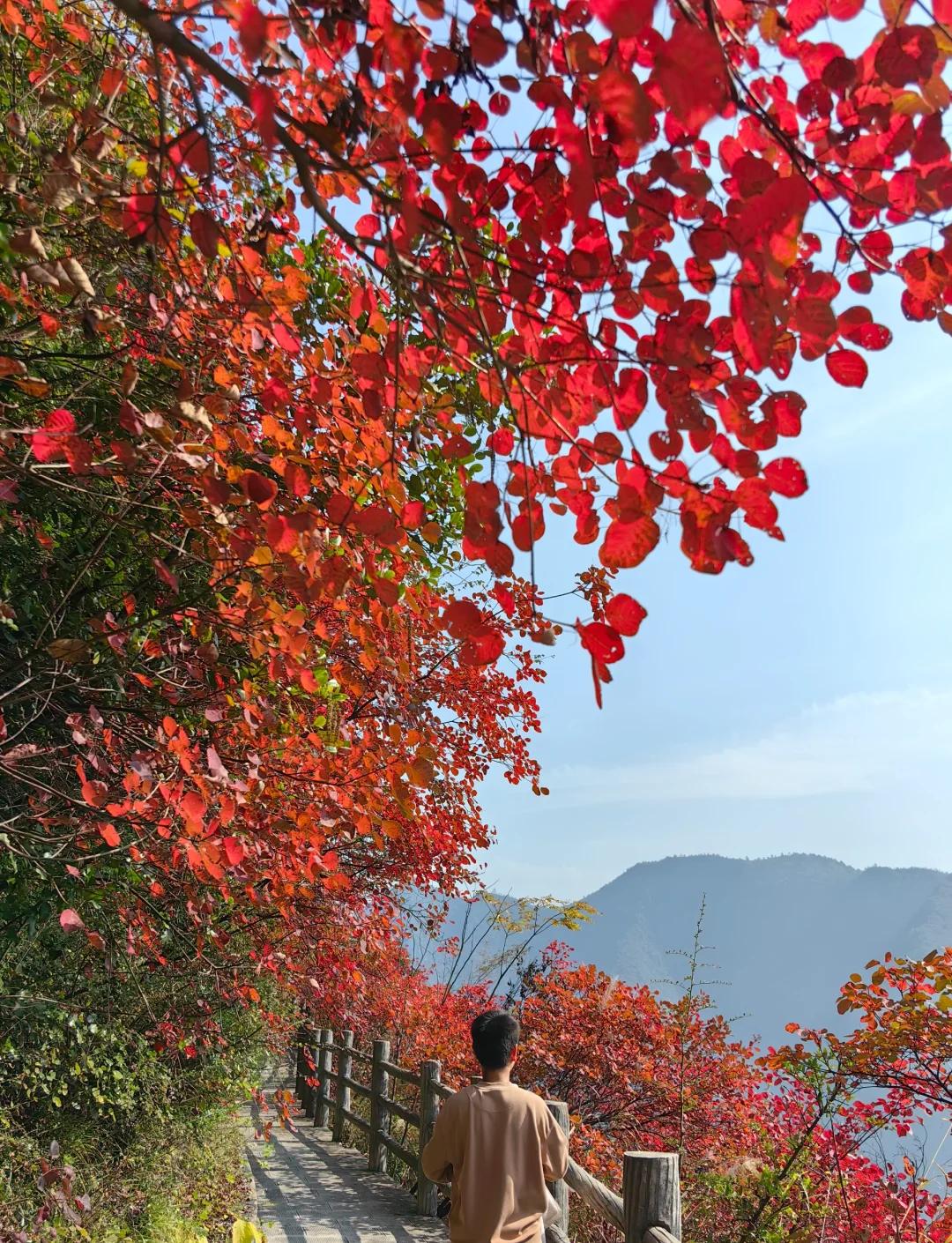 中秋旅游好去处_中秋旅游攻略大全 中秋旅游好去处_中秋旅游攻略大全