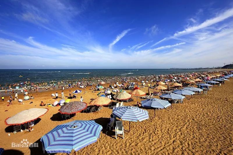 日照旅游政务网_日照旅游政务网最新消息