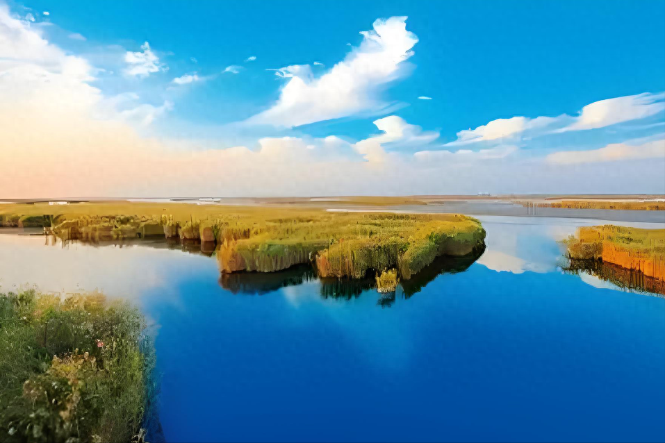 东营旅游景点大全_东营旅游景点有哪些景点