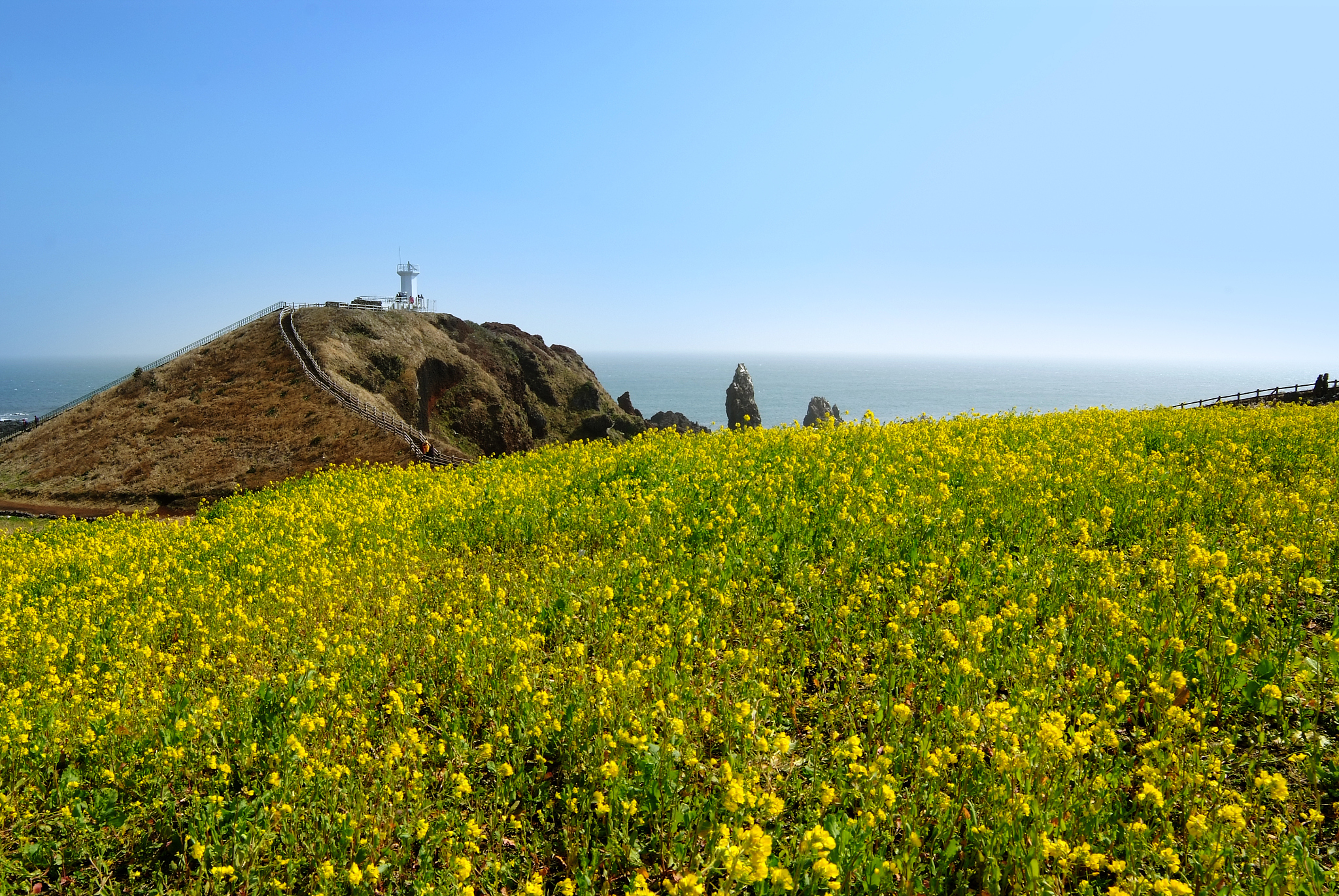 韩国济州岛旅游_韩国济州岛旅游签证申请条件