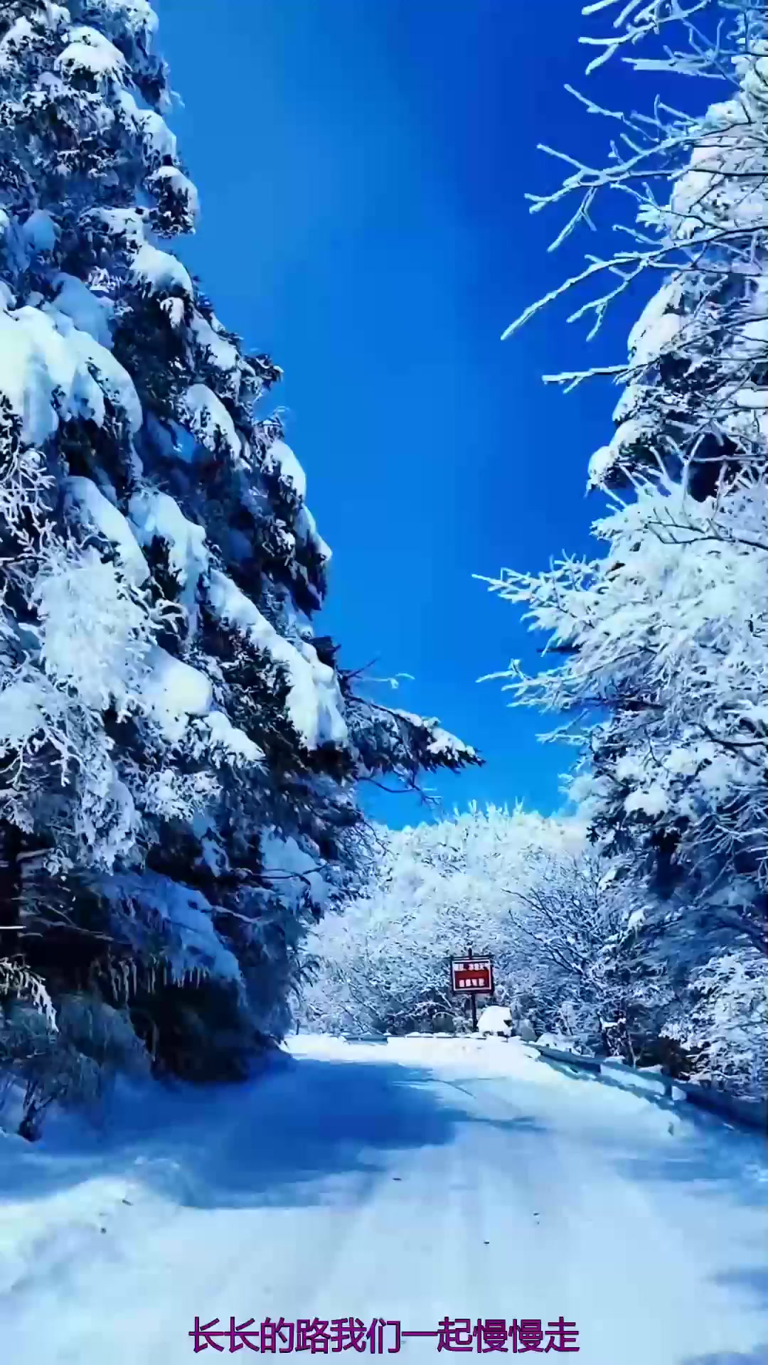 秋季旅游_秋季旅游景点推荐