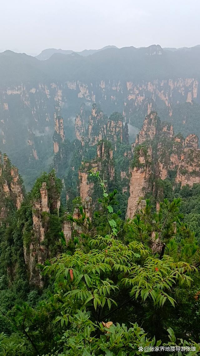 张家界自助旅游_张家界自助游第一门户网