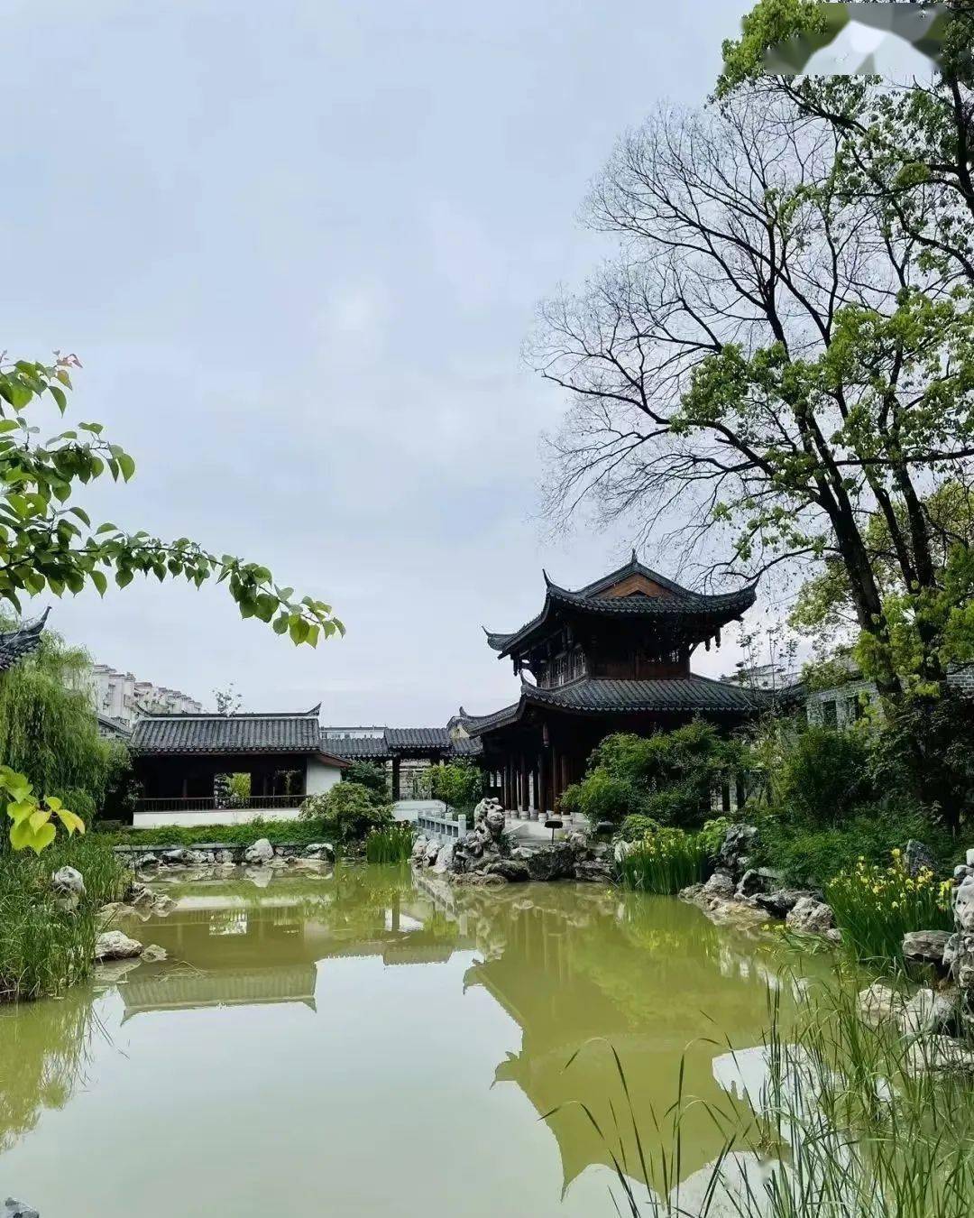 桐城旅游_桐城旅游必去景点 桐城旅游_桐城旅游必去景点