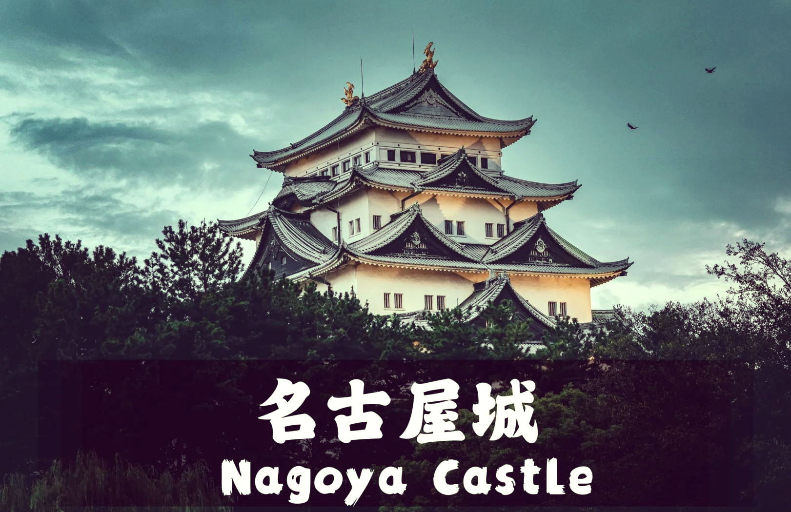 日本名古屋旅游_日本名古屋旅游视频