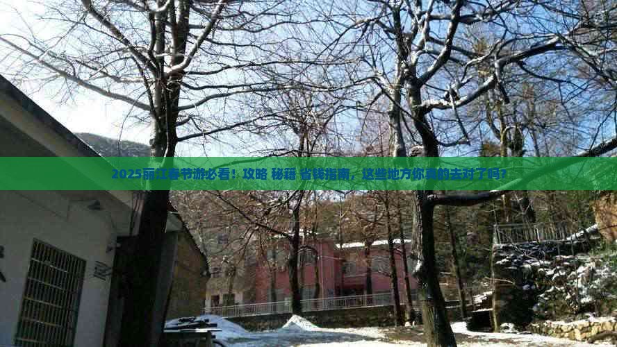 春节旅游攻略_南京春节旅游攻略