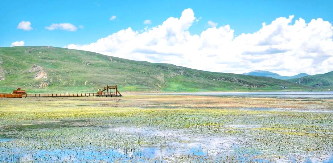 花湖旅游_花湖旅游随笔