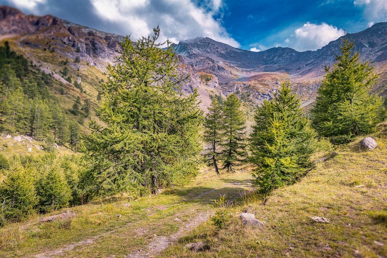 自然旅游景点_自然旅游景点有哪些