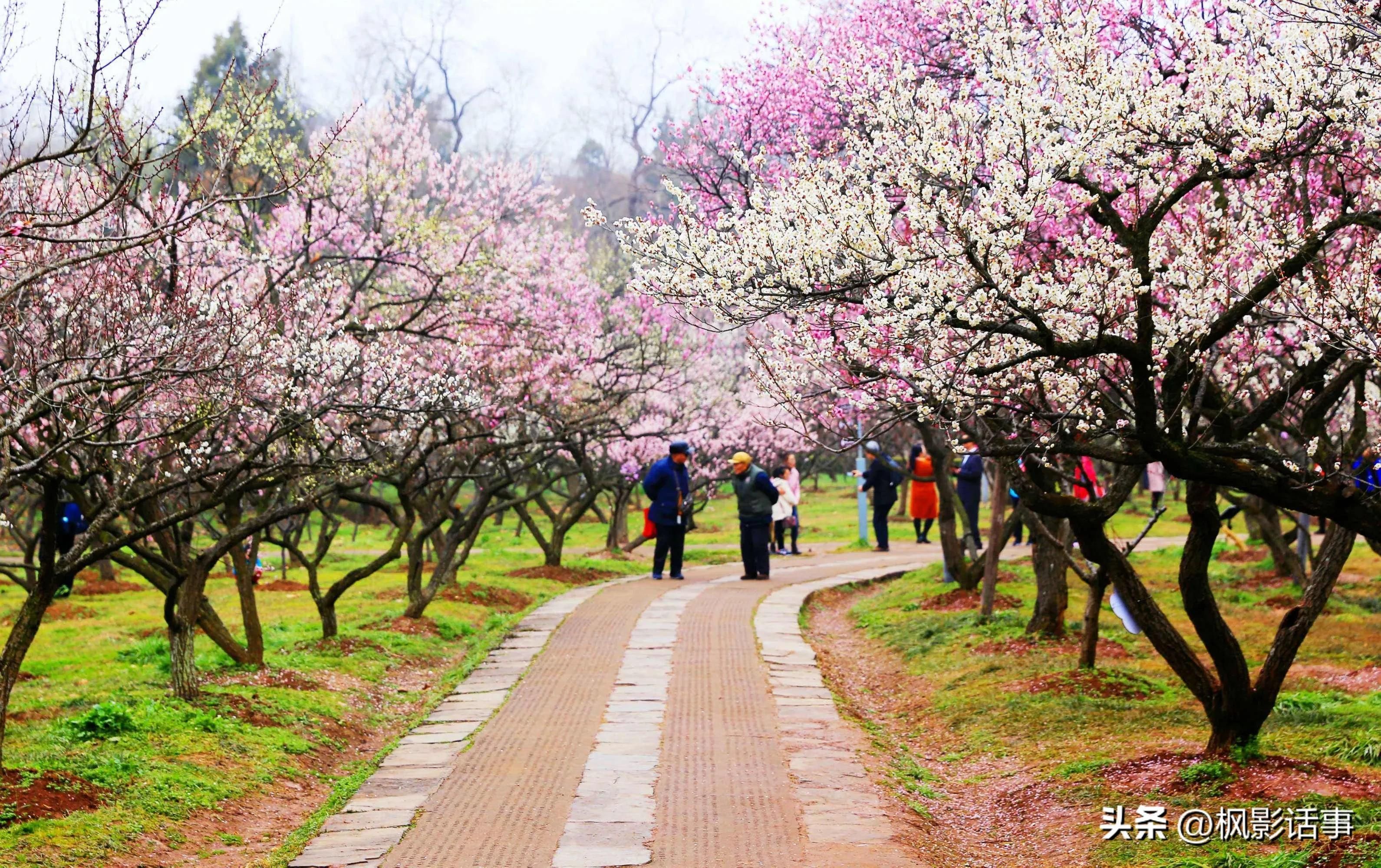 三月适合旅游的地方_三月适合旅游的地方是哪里