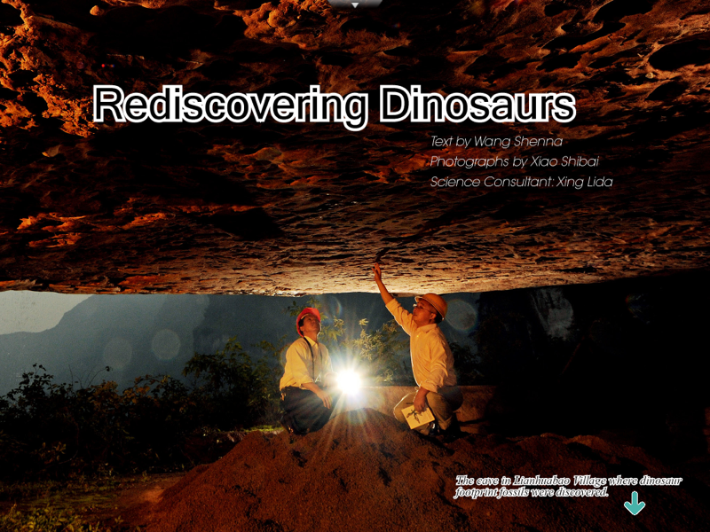 天智旅游网_天智景app