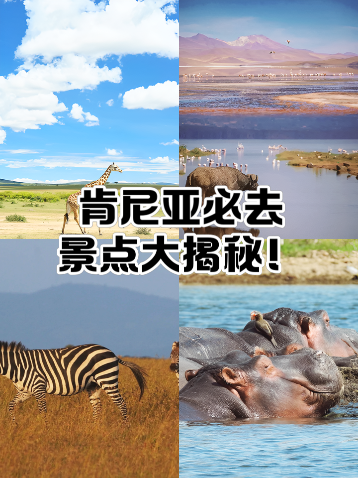 肯尼亚旅游攻略_肯尼亚旅游攻略必看